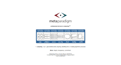 Desktop Screenshot of metaparadigm.com